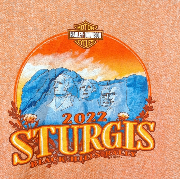 Harley Davidson 2022 Sturgis Black Hills Ralley Hoody - Picture 3 of 6